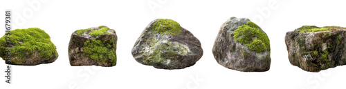 Five mossy rocks arranged in a horizontal row