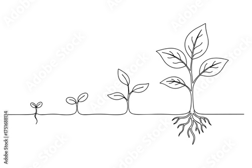 tree with roots,
Continuous Line Drawing of Plant Growth Stages ,Minimalist Illustration of Natural Progression