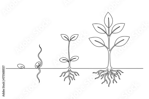 tree with roots,
Continuous Line Drawing of Plant Life Cycle,
Minimalist Growth Illustration on White Background