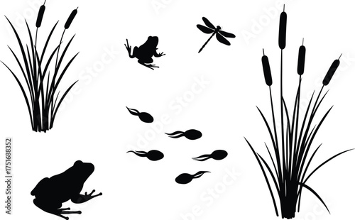 Silhouette vector illustration of frogs, tadpoles, dragonfly, and water plants in pond nature scene, wildlife animal design isolated on white background for decoration