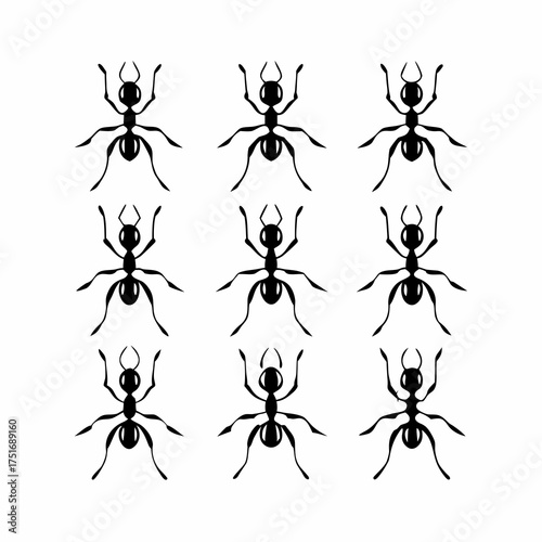 Collection of ant icons, featuring various ant species in a simple and clean design