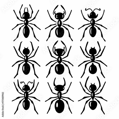 Set of ant icons, showcasing various ant species in a simple and clean design