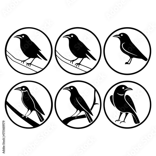 Collection of six raven illustrations, each perched on a branch within a circular frame
