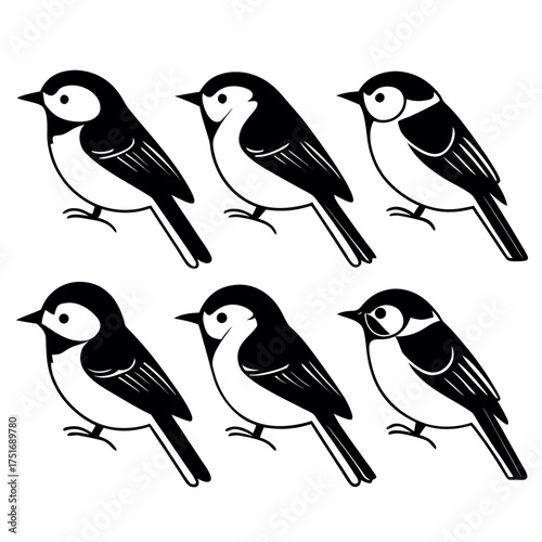 Illustration of six black and white great tit birds, vector format, cute design