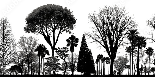 Collection of diverse tree silhouettes against a white background in a graphic style