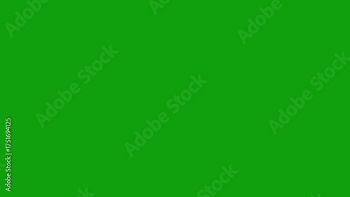 Twinkle star animation, white cartoon, flat, vector, doodles style stars Blinking, vector stars and starry night sky, looping animation, Glowing stars sparkle, green screen background. 4k animation
