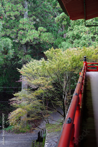 Wallpaper Mural 比叡山延暦寺の朱塗りのお堂と紅葉した木々 Torontodigital.ca