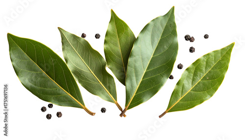 Bay leaves & black peppercorns on dark. Culinary aromatics