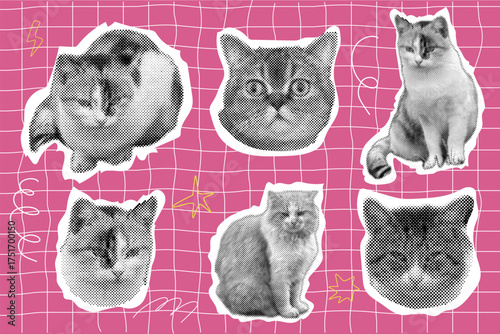 Cat halftone collage sticker set, trendy retro y2k pet, funky emoticon animal, pop aesthetic pink background. Meme head with speech bubble. Funny kitty.