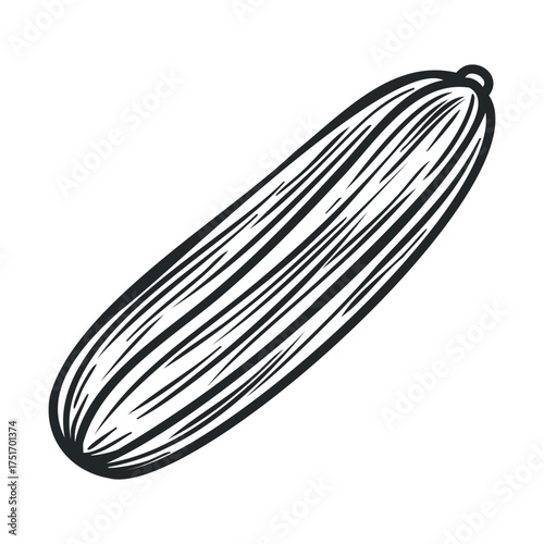 Fresh vegetable design for healthy eating and recipes. Vector hand drawn illustration