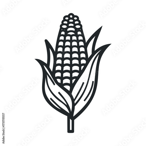 Corn on the cob with leaves, perfect for farm fresh recipes. Vector line illustration