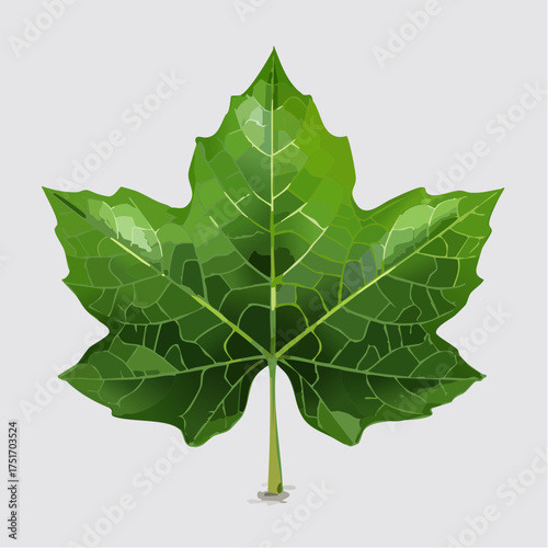A detailed vector illustration of a single vibrant green leaf with intricate veins, symbolizing nature, growth, and the freshness of the environment
