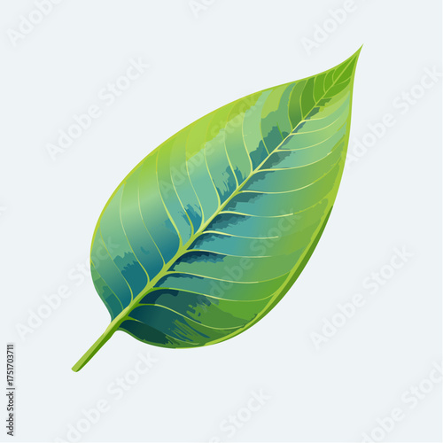 Vibrant Green Leaf Illustration Detailed depiction of a healthy, flourishing leaf with visible veins, perfect for nature-themed designs