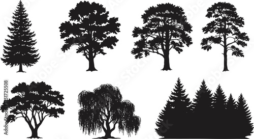 Black tree silhouettes of seven different shapes showing unique branching patterns, canopy structures, foliage density, natural design, forest, ecology, landscape illustration