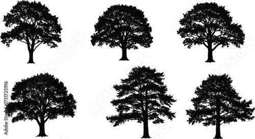 Black tree silhouettes of six different shapes showing unique branching patterns, canopy structures, foliage density, natural design, forest, ecology, landscape illustration