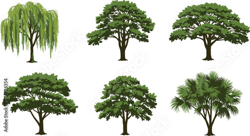 Black tree silhouettes of six different species showing unique branching patterns, canopy structures, foliage density, natural design, forest, ecology, landscape illustration