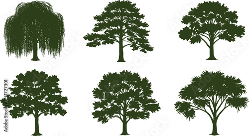 Black tree silhouettes with different shapes, willow, palm, conifer, deciduous, foliage, branches, natural forest elements, landscape design, abstract vector illustration