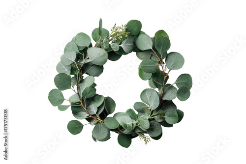 A circular wreath made of eucalyptus leaves