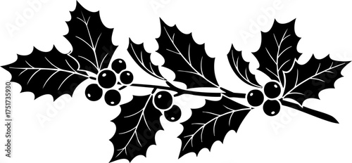 Elegant black and white holly branch with berries, perfect for festive holiday designs and winter celebrations, evoking traditional seasonal charm.