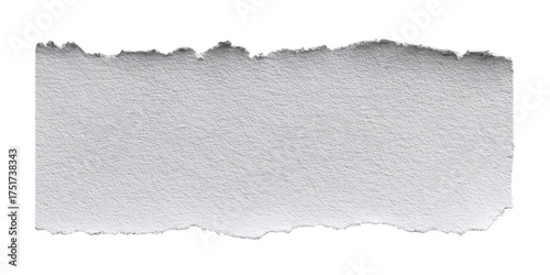 A rectangular piece of torn, light gray paper