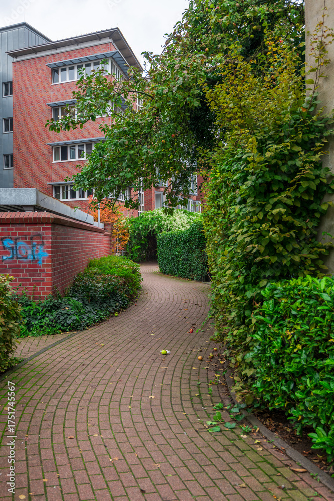 Fototapeta premium path in the garden