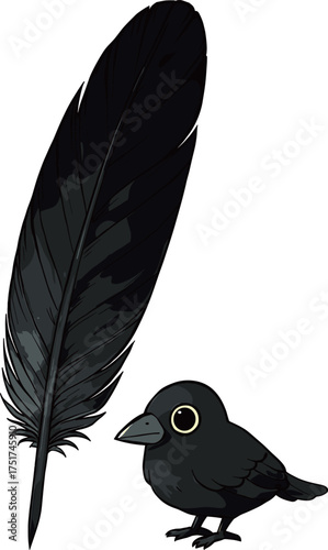 カラスの羽根のイラスト