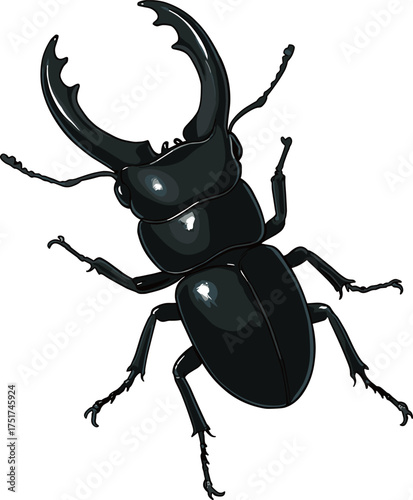 クワガタのイラスト