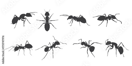 silhouette ant set bundle vector