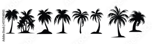 silhouetted palm trees set against a white background 