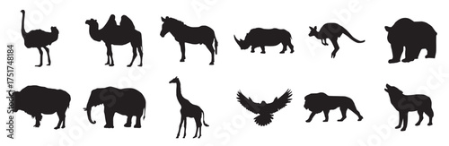 silhouettes of animals 