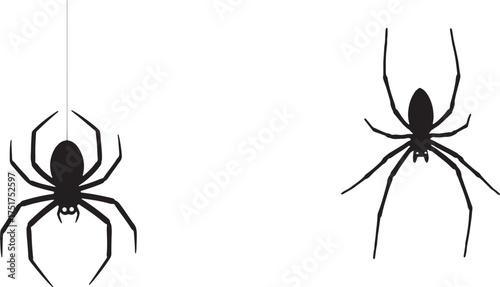 Vector art of two black spider silhouettes, one hanging from a thread and the other on a
