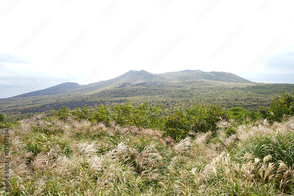 Fototapeta premium Mihara-yama Mountain in Oshima, Tokyo, Japan - 日本 東京 大島 三原山