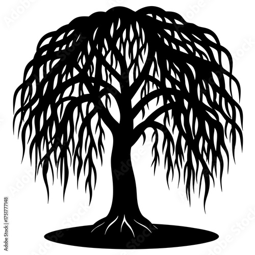 vector silhouette of a weeping willow tree