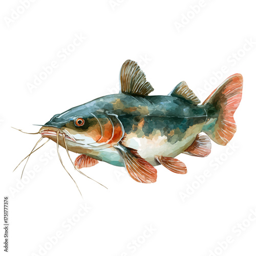 Catfish With Barbels watercolor drawing vector, premium quality illustration on a clean white background.