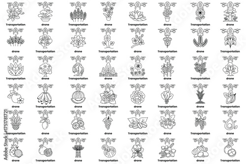 A collection of plants and trees are shown in a variety of colors and sizes