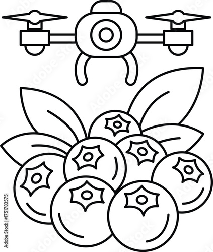 A black and white drawing of a drone flying over a bunch of blueberries