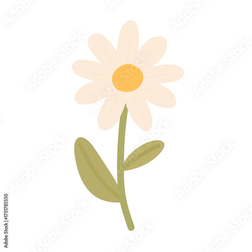 Daisy Flower in Flat Style for Cheerful Floral Illustration