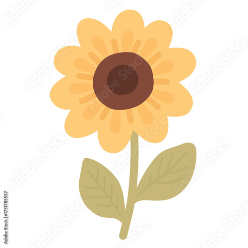 Sunflower in Flat Style for Summer Botanical Illustration