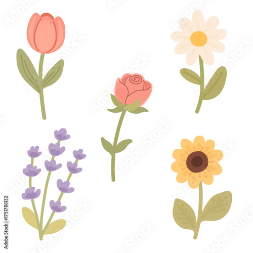 Floral Set in Flat Style for Spring Botanical Design Collection