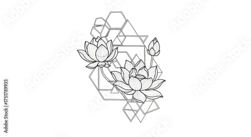 Delicate line art of two lotus flowers and a bud intertwined with a geometric pattern, symbolizing spiritual awakening and balance
