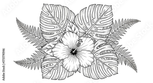 Tropical floral arrangement with hibiscus flower and monstera and fern leaves in a black and white illustration style