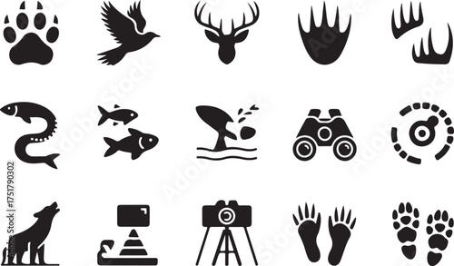 Collection of nature icons depicting wildlife animals and wildlife photography equipment