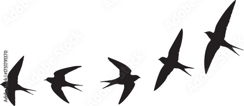 Silhouette vuogelzug vector vector. eps