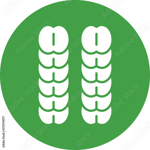 vector illustration of a green leaf