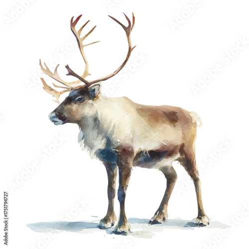 Watercolor Reindeer vector, artistic painting style, high-resolution illustration on a pure white background.