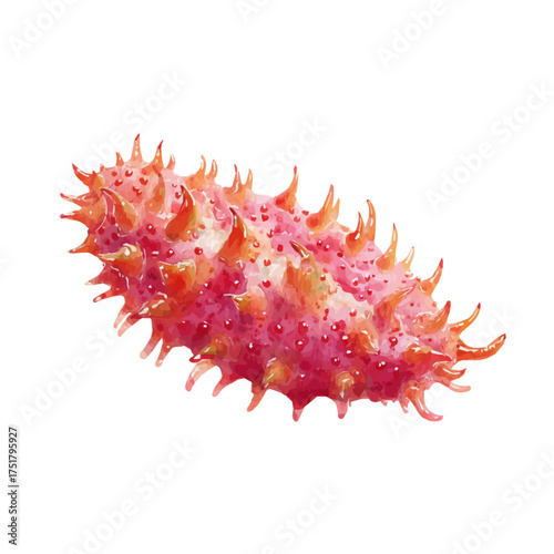Watercolor Sea Cucumber vector, artistic painting style, high-resolution illustration on a pure white background.
