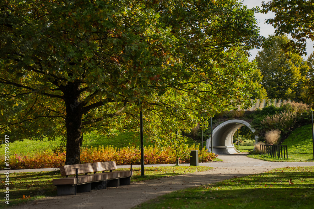 Fototapeta premium Peaceful park with pathway benches and green trees offering relaxing outdoor environment for walking recreation and leisure in natural urban space surrounded by vegetation