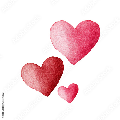 Valentines Day watercolor drawing vector, premium quality illustration on a clean white background.