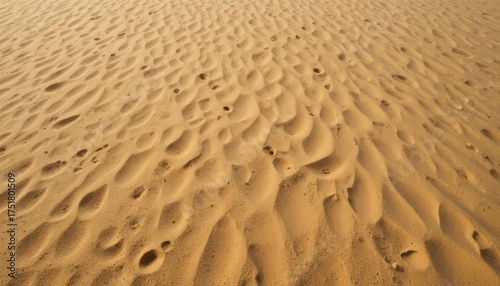Patterns of Sand Dunes With Small Footprints Revealing Desert Wildlife Activity at Sunset