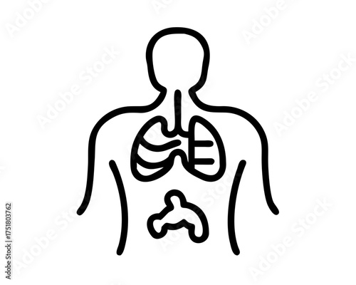 Human anatomy illustration showing lungs, stomach, and other organs